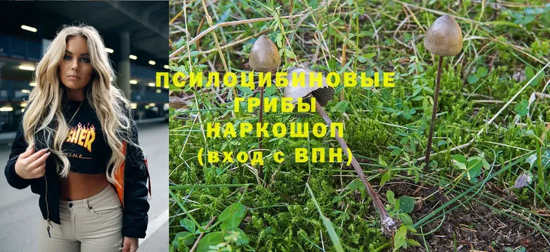 Галлюциногенные грибы Magic Shrooms  hydra ССЫЛКА  Искитим 